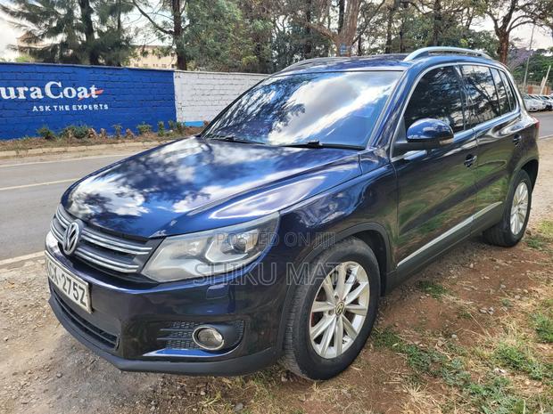 Volkswagen Tiguan 2013 Blue