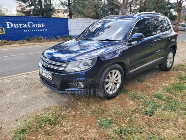 Volkswagen Tiguan 2013