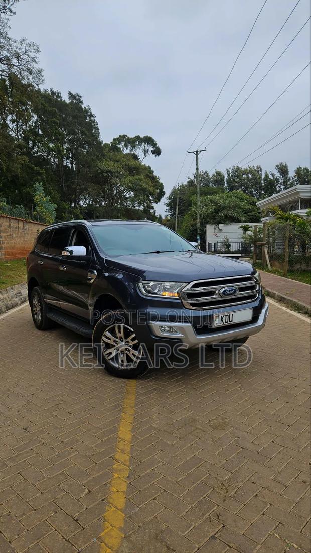 Ford Everest 2018 Gray