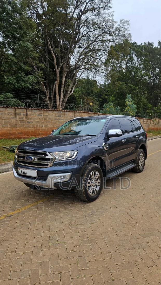 Ford Everest 2018 Gray