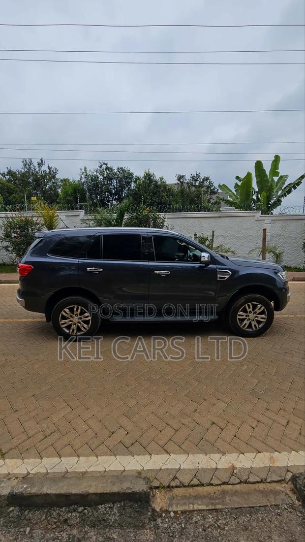 Ford Everest 2018 Gray