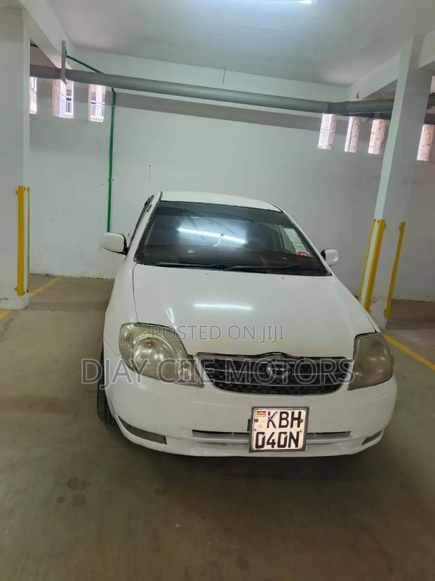 Toyota Corolla 2004 White