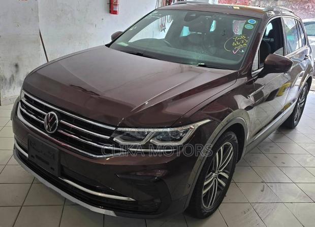Volkswagen Tiguan 2.0T S 2021 Brown